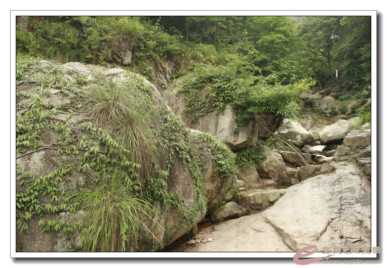 20140622 023.jpg