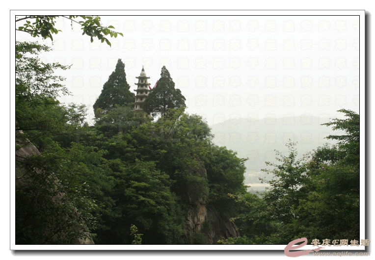 20140622 056.jpg