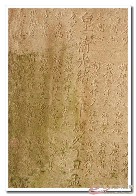 20140622 064.jpg