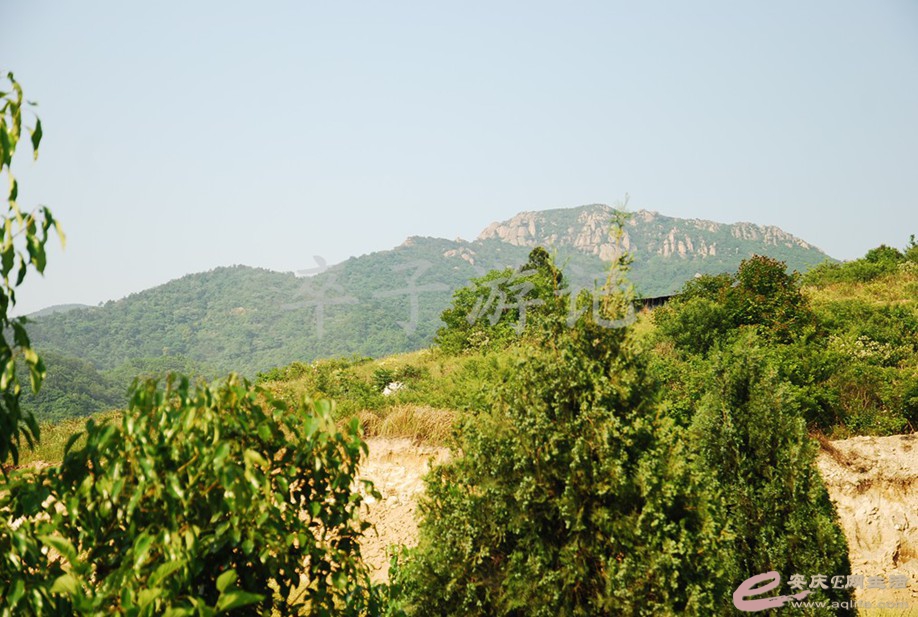 DSC_5888.jpg