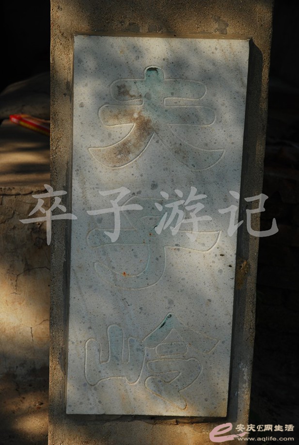 DSC_5929.jpg