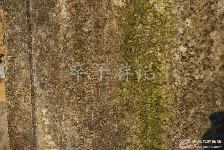 DSC_5946.jpg