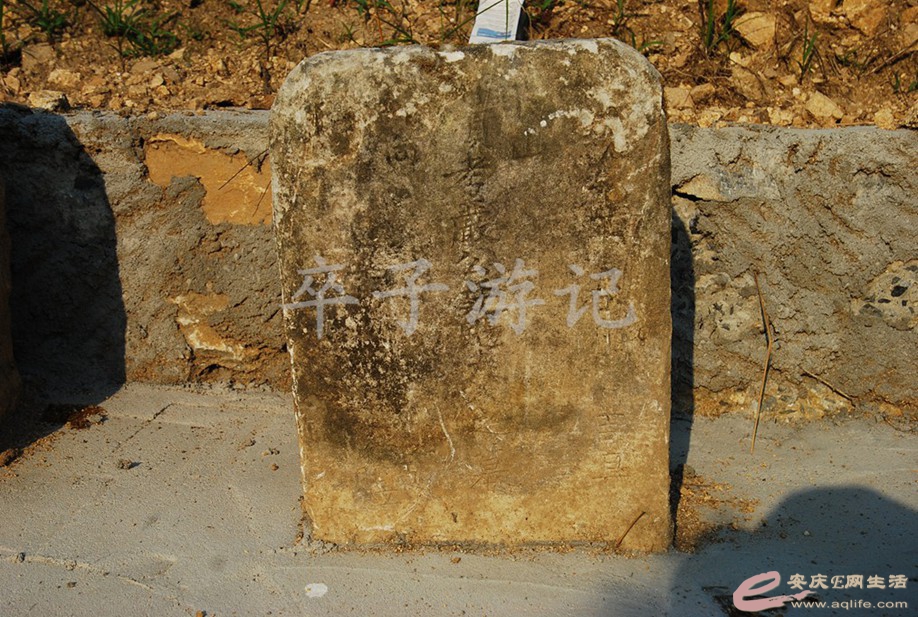DSC_5950.jpg