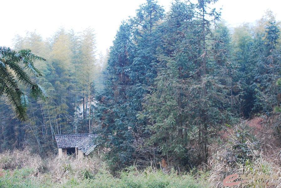 02.jpg
