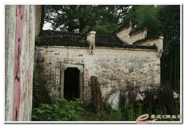 20140524 139.jpg