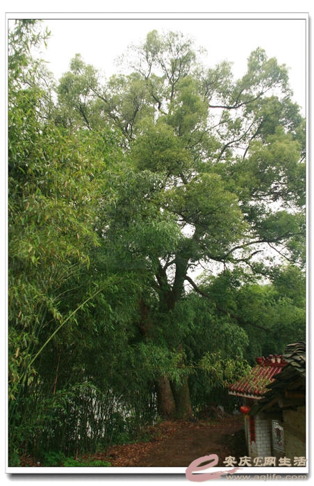 20140524 195.jpg