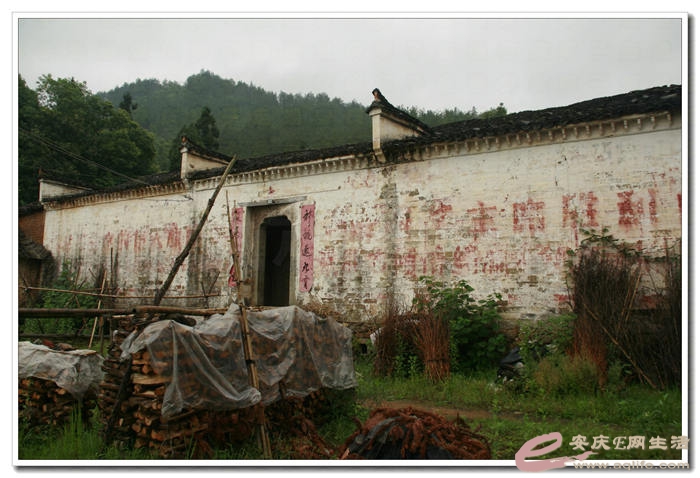 20140524 199.jpg