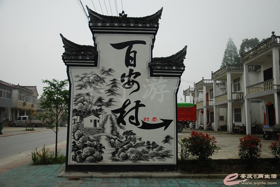 DSC_5956.jpg