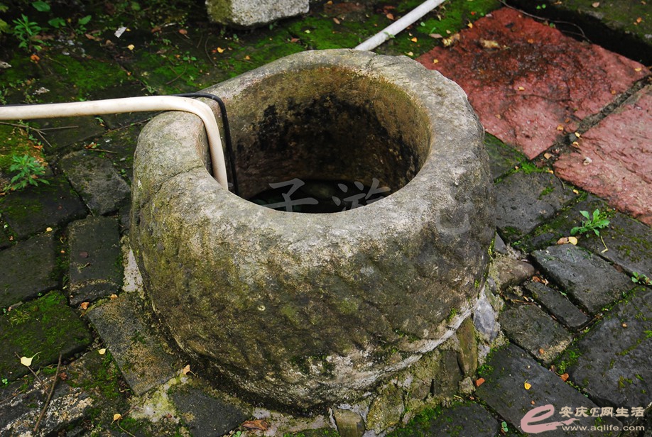DSC_5985.jpg