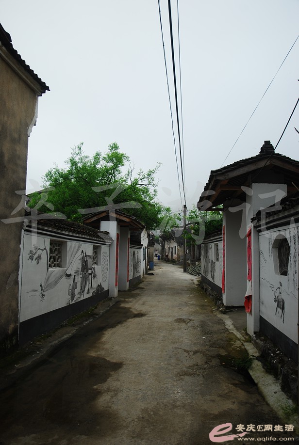DSC_6004.jpg