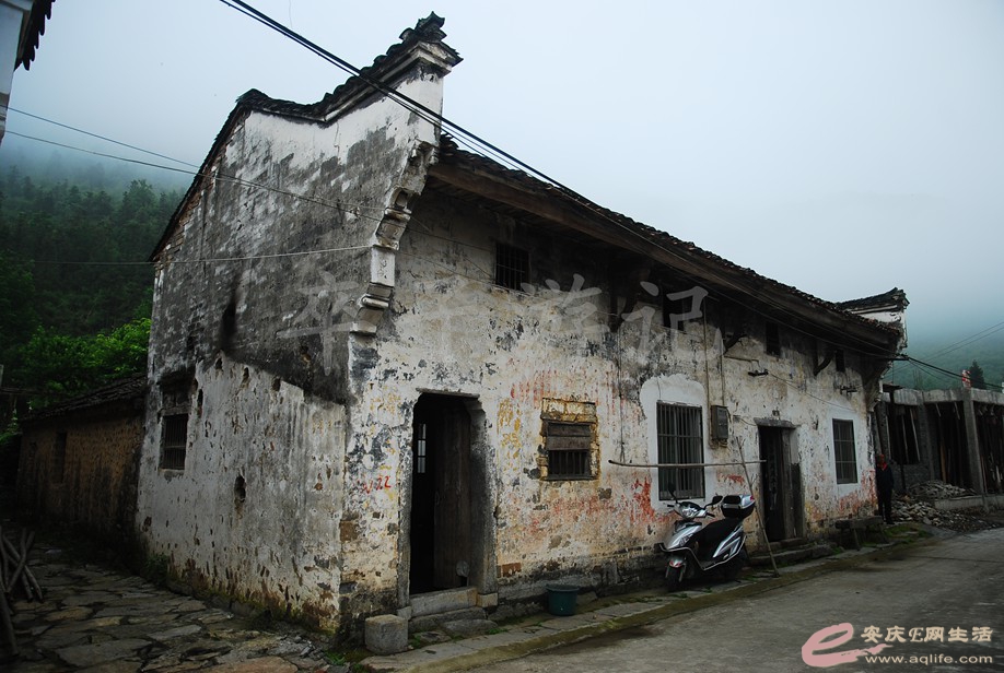 DSC_6038.jpg