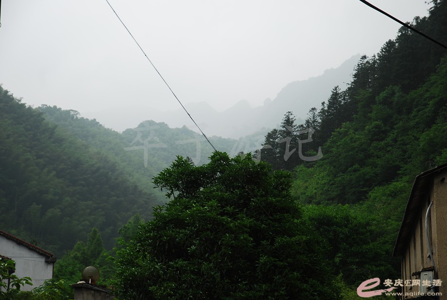 DSC_6322.jpg