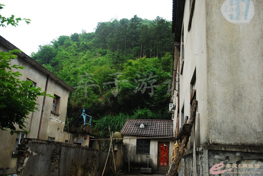 DSC_6340.jpg