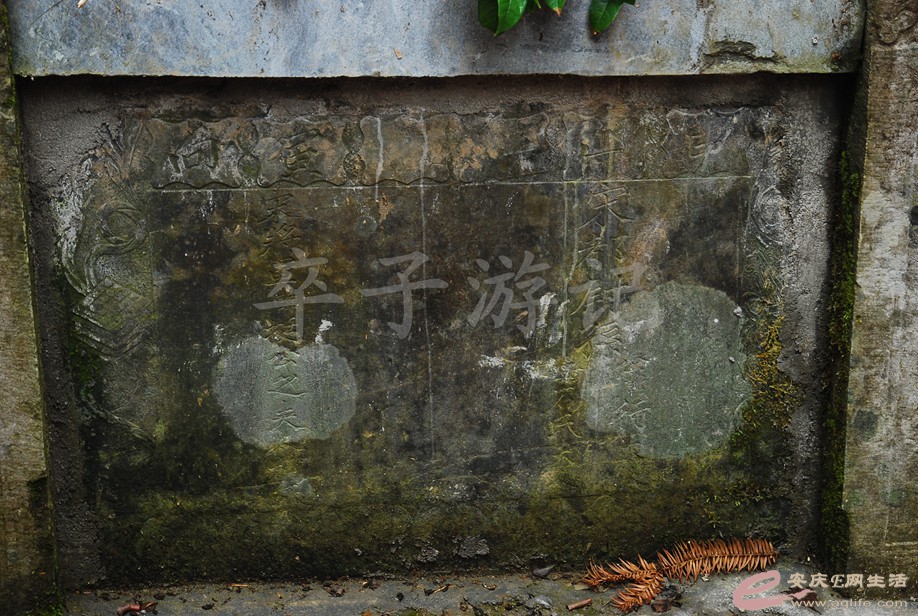 DSC_6401.jpg