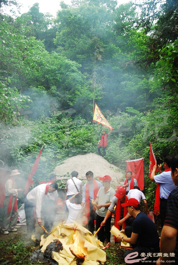 DSC_6484.jpg