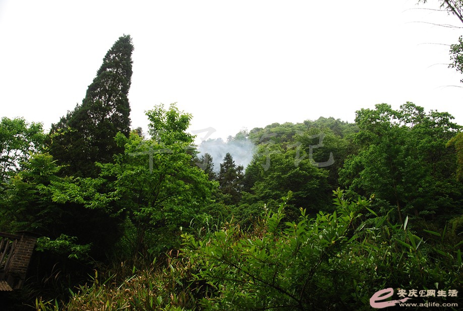 DSC_6493.jpg