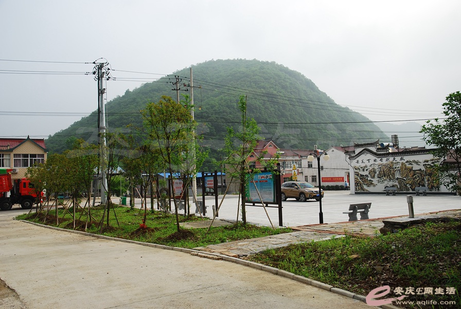 117.jpg