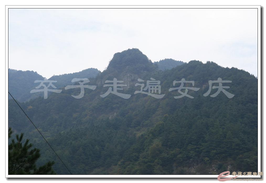201501001 1701.jpg