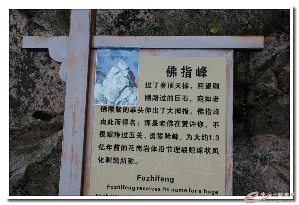201501001 2398.jpg