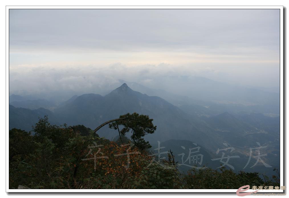 201501001 2425.jpg