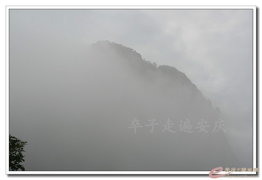 201501001 2120.jpg