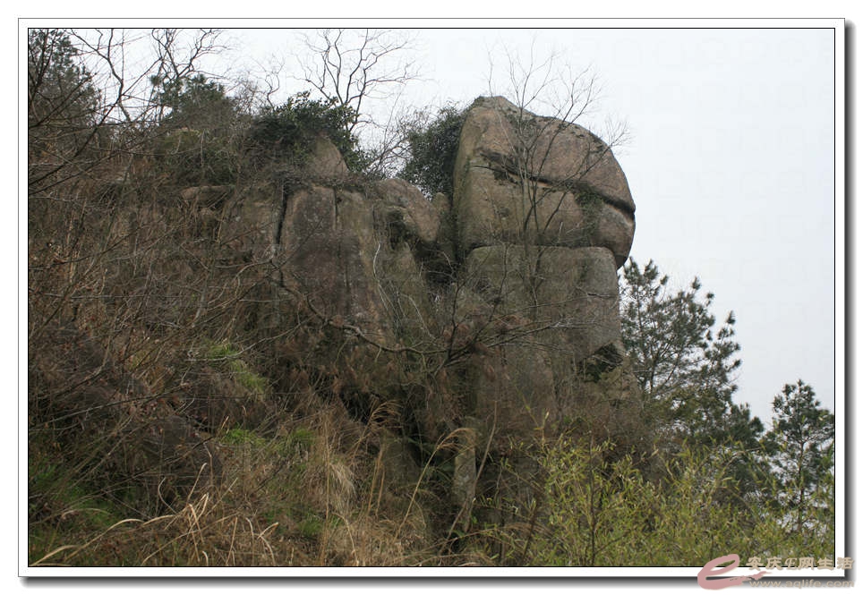 20150314 016.jpg