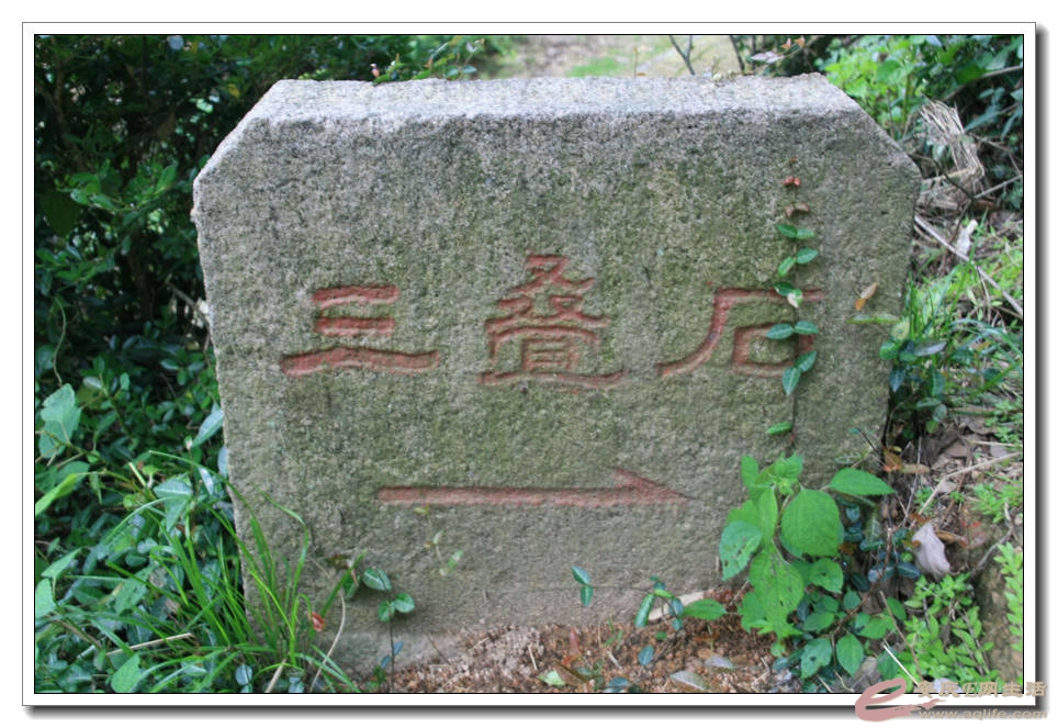 20150624 022.jpg