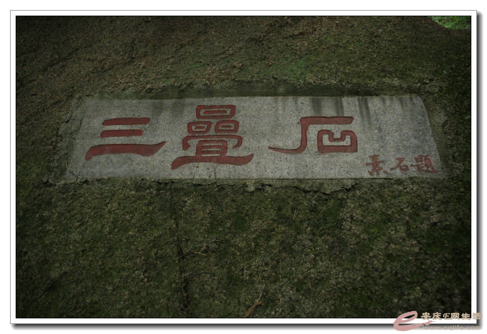 20150624 029.jpg