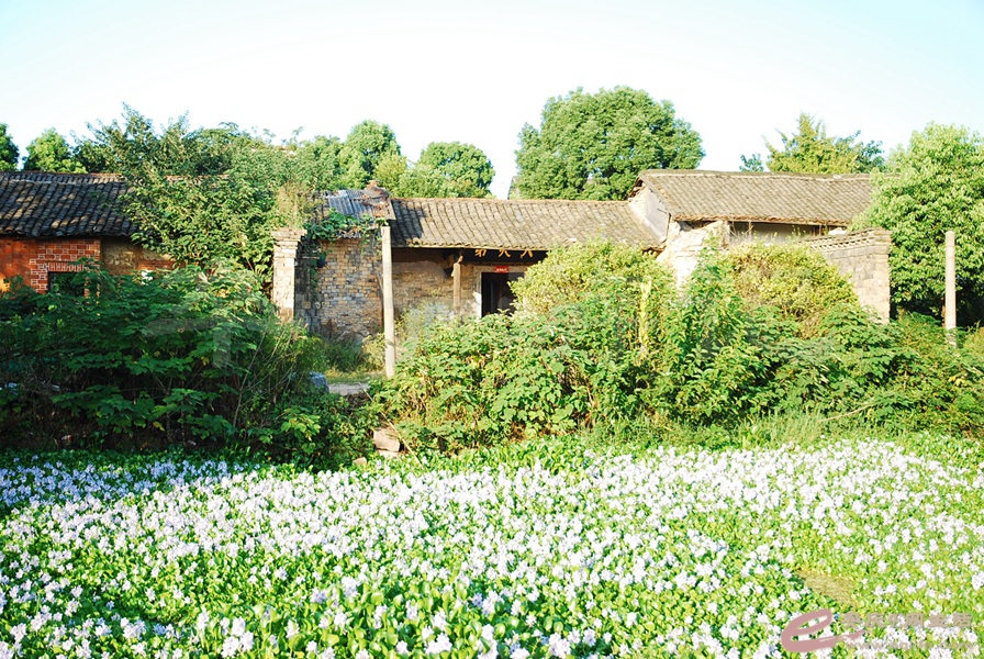 03.jpg