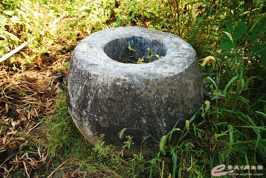 06.jpg