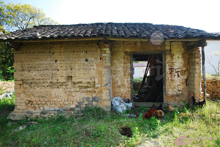 07.jpg