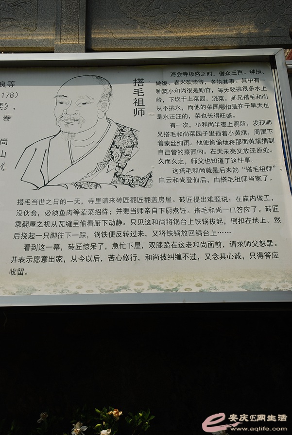 07.jpg