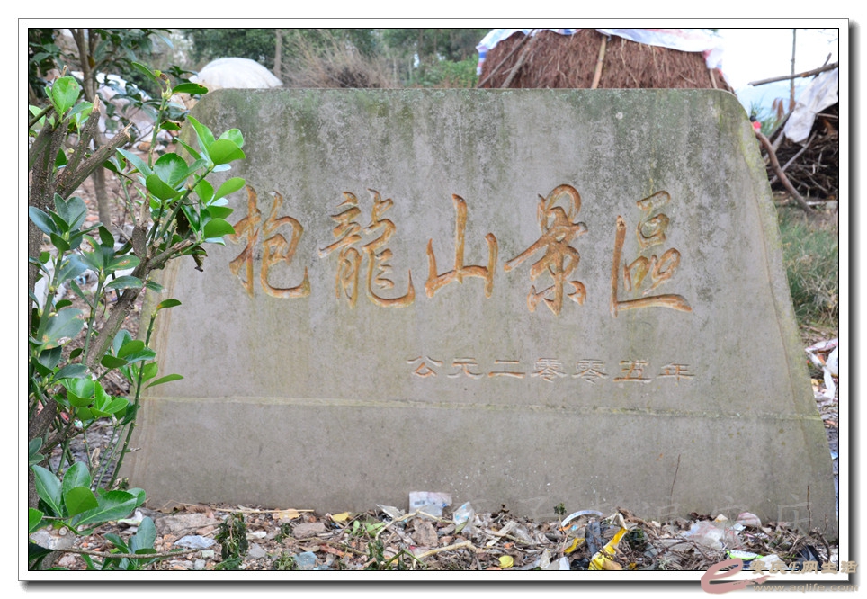 20151121 028.jpg