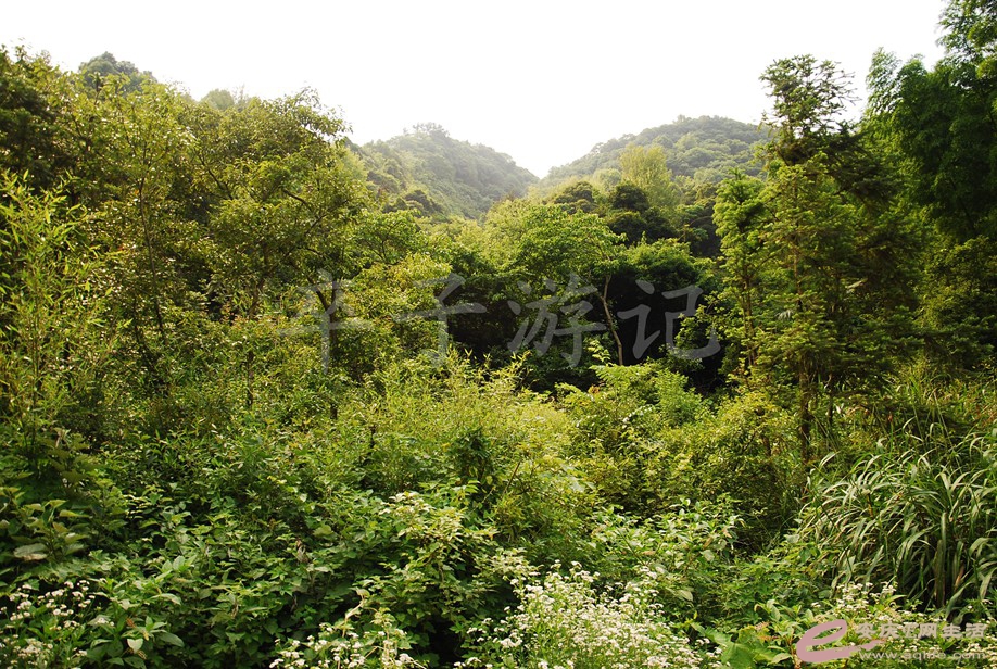 DSC_8274.jpg