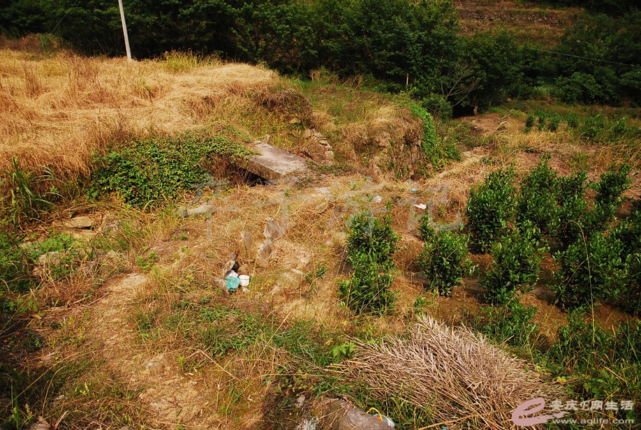DSC_8275.jpg