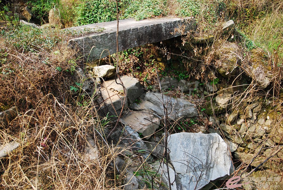 DSC_8280.jpg