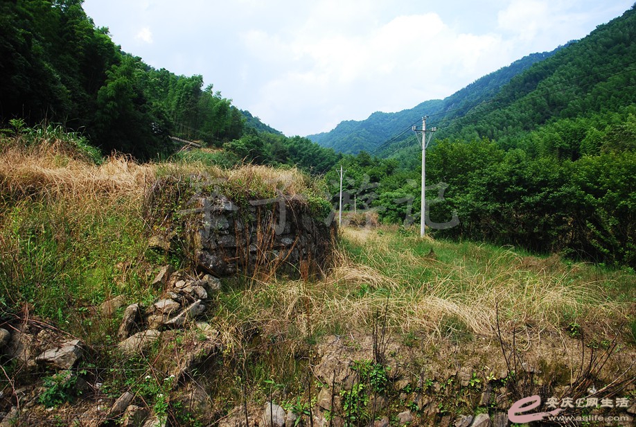 DSC_8282.jpg