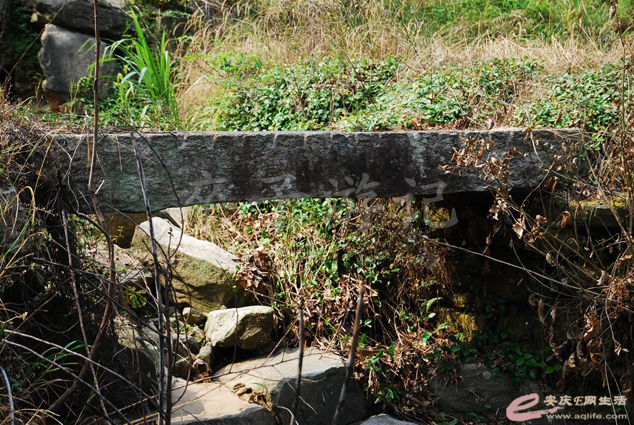 DSC_8284.jpg