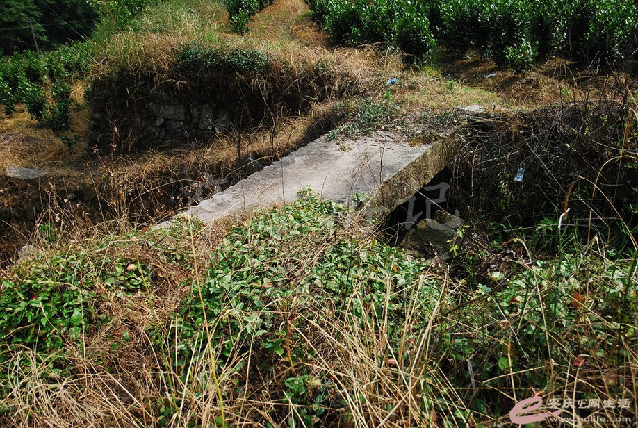 DSC_8288.jpg