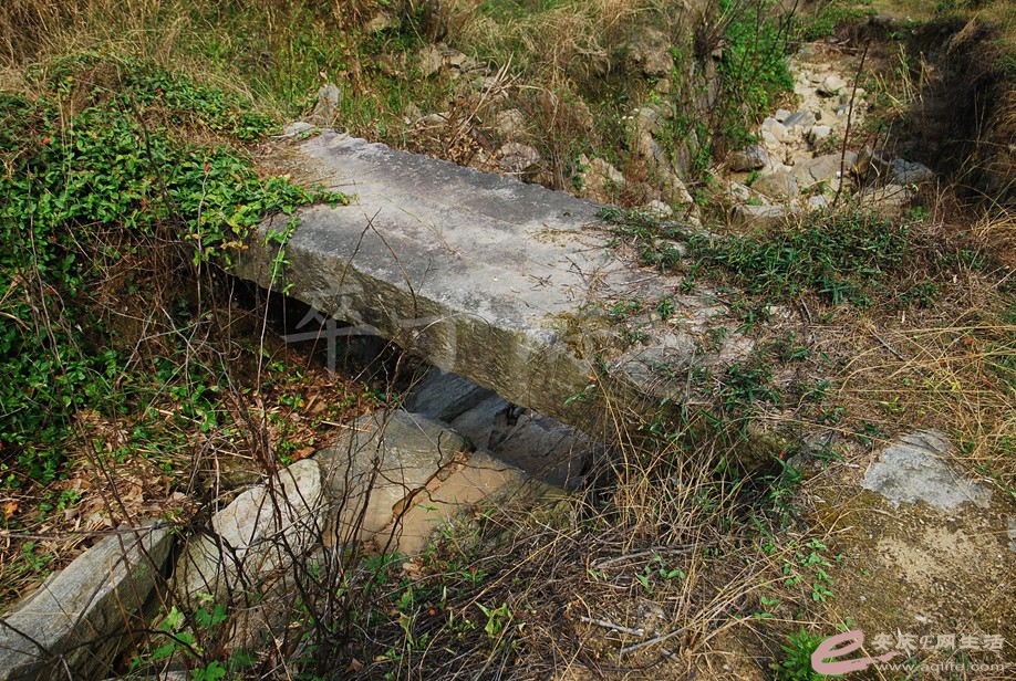 DSC_8290.jpg