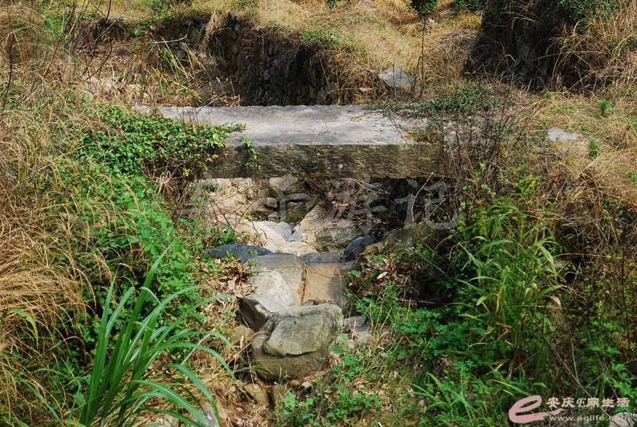DSC_8292.jpg