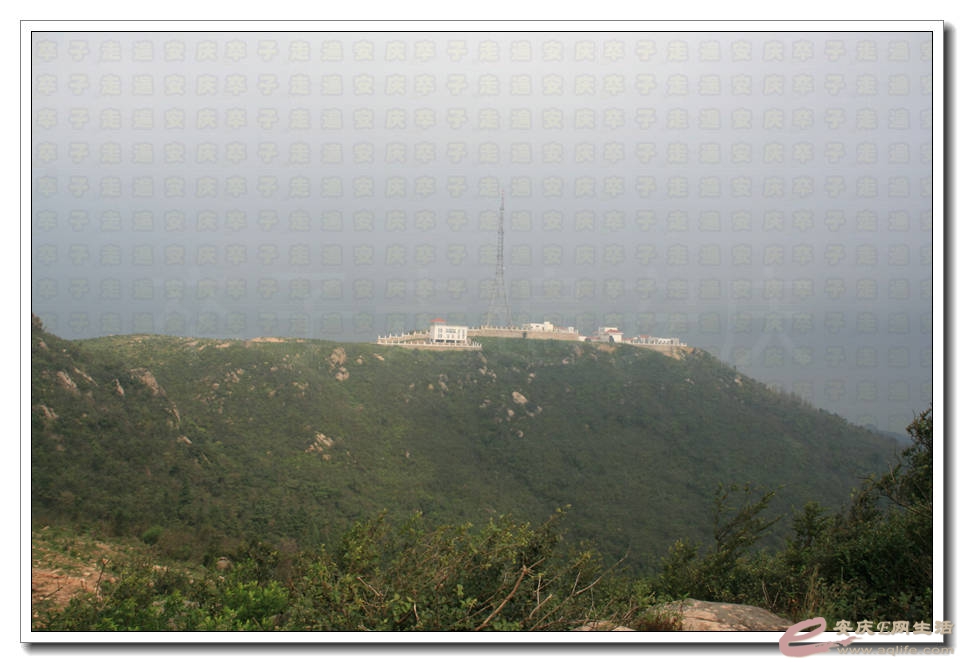 20150822 476.jpg