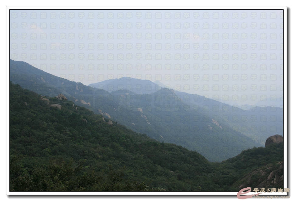 20150829 114.jpg