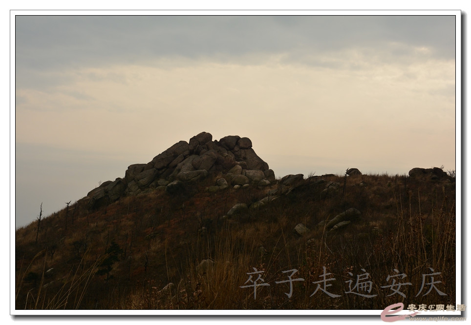 20160116 195.jpg