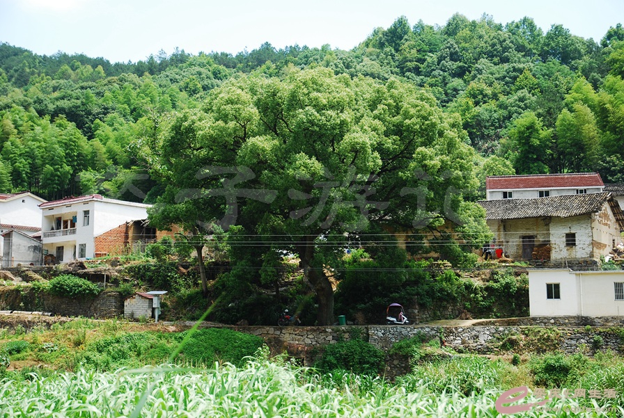 03.jpg
