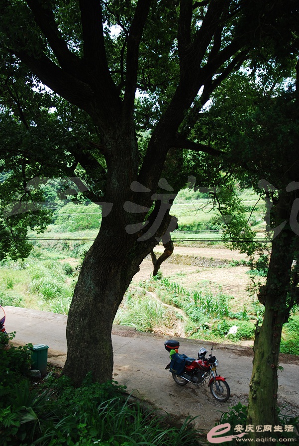 06.jpg