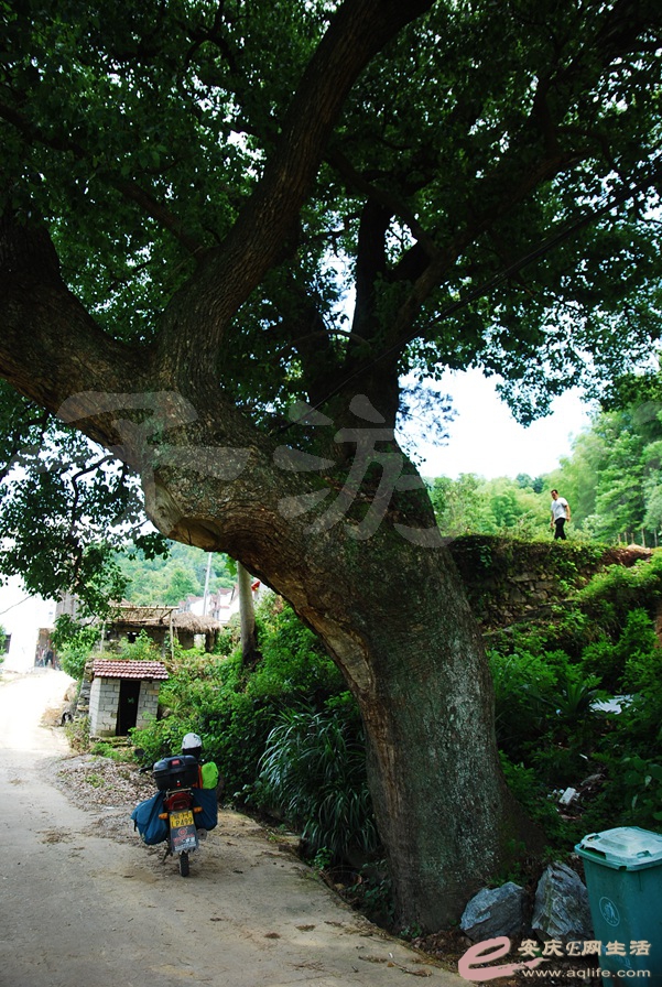 07.jpg