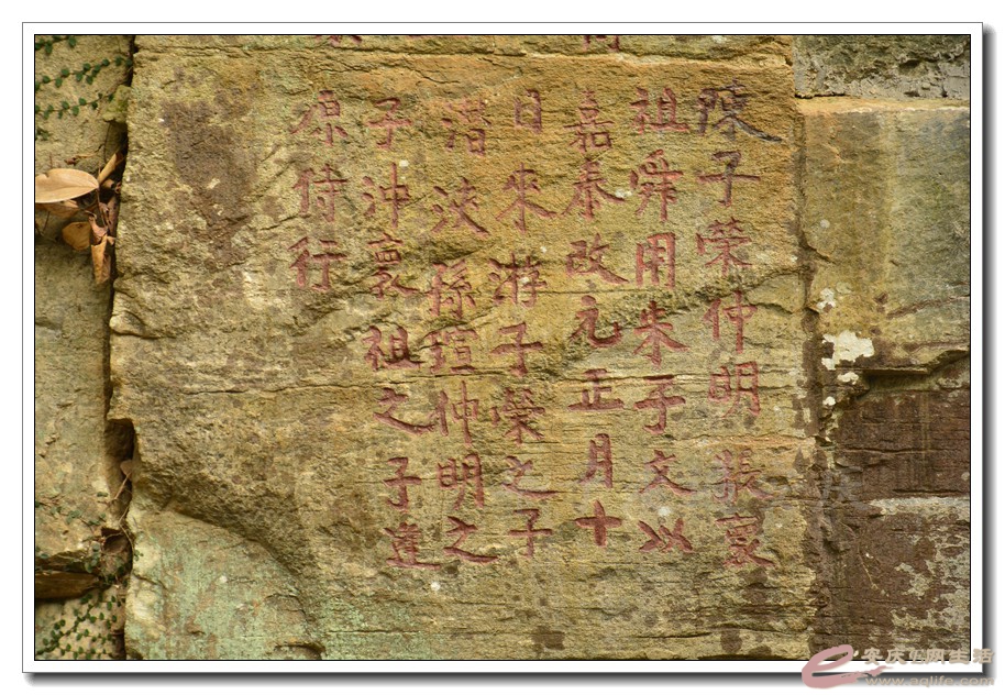 20160209 176.jpg