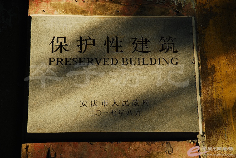 06.jpg