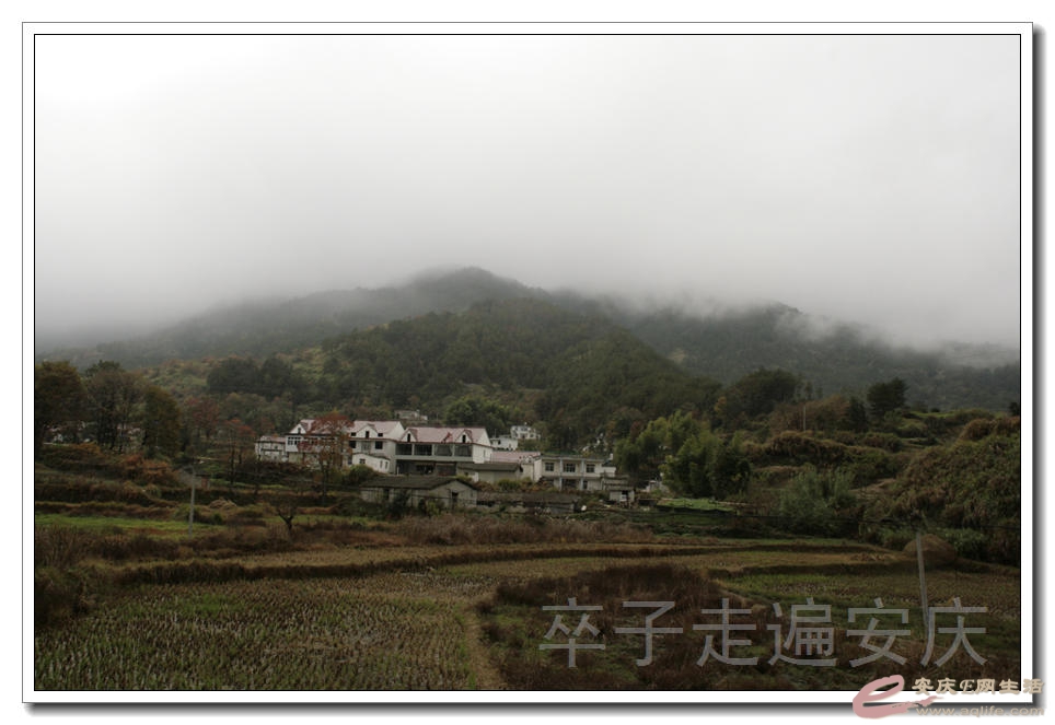 20151107 021.jpg